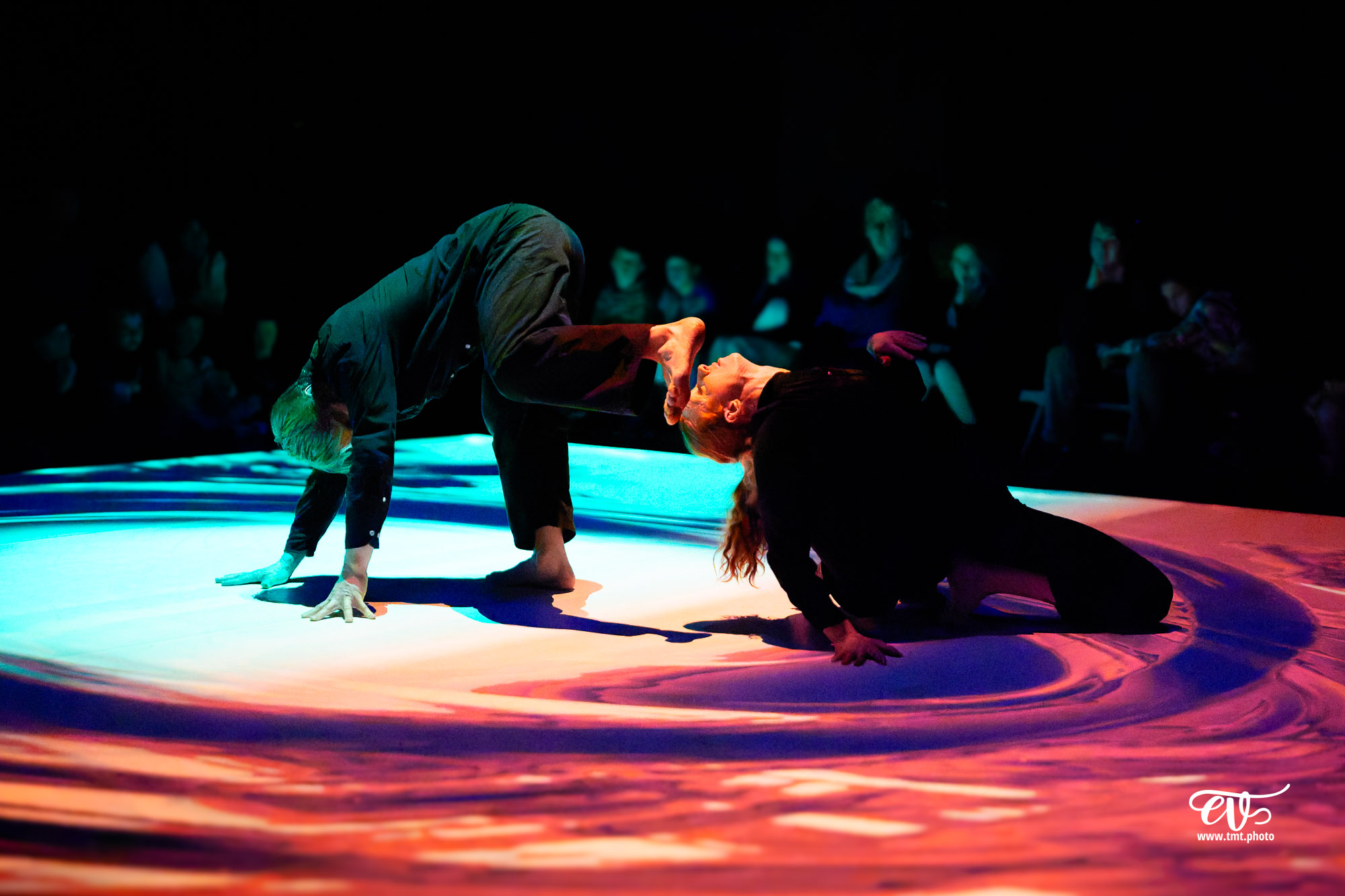 TMTPHOTO 2026.01.24 GO (CIE CORPS IN SITU) 037